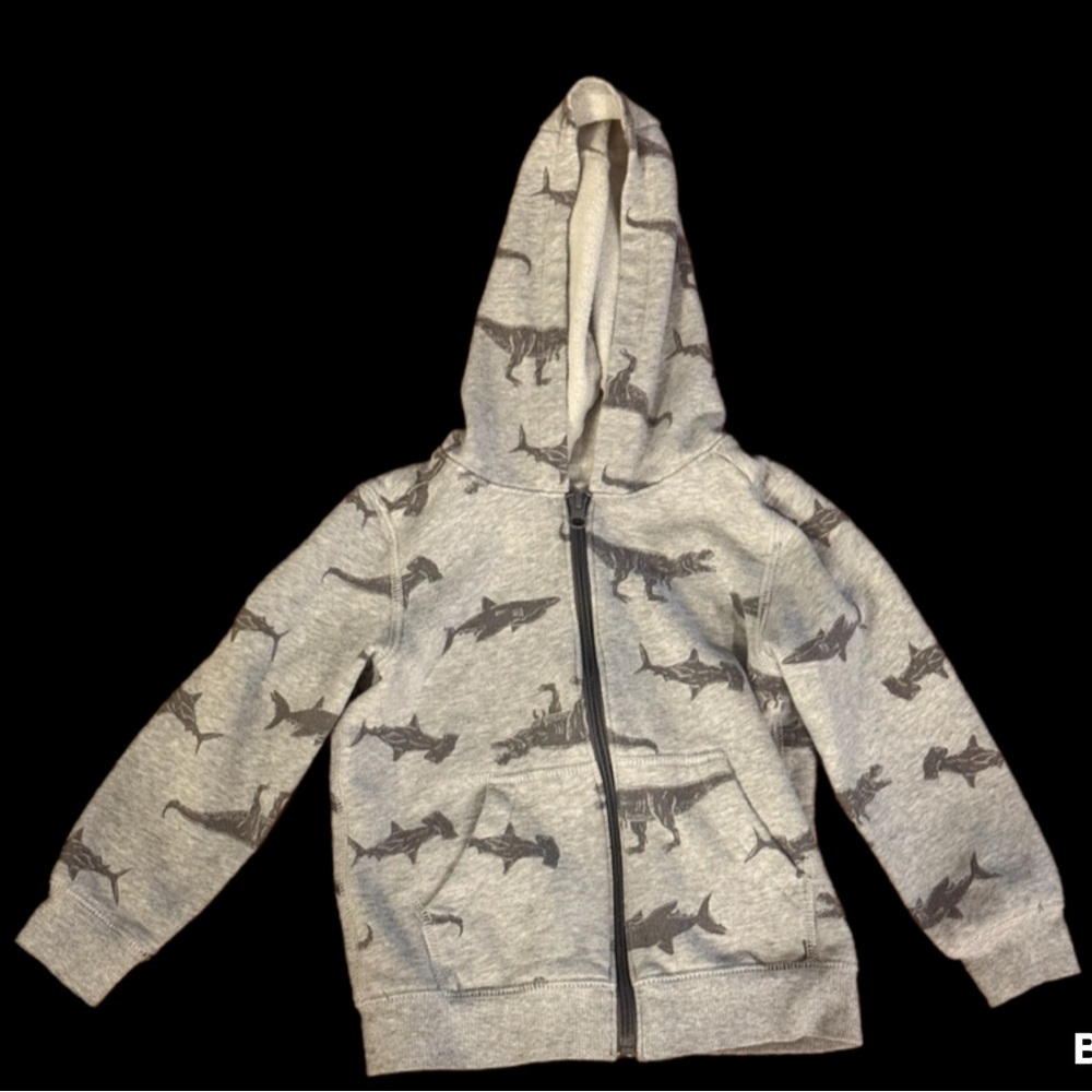 Boys dinosaur zip up hoodie Sz 5t - Picture 2 of 4